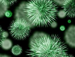 nosokomiale Infektion