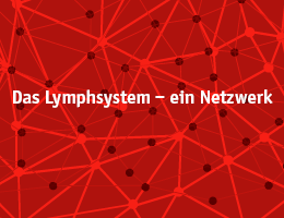 Lymphsystem