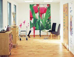 Home Care Tingelhoff