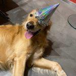 Sanitätshaus Tingelhoff wünscht ein frohes neues Jahr